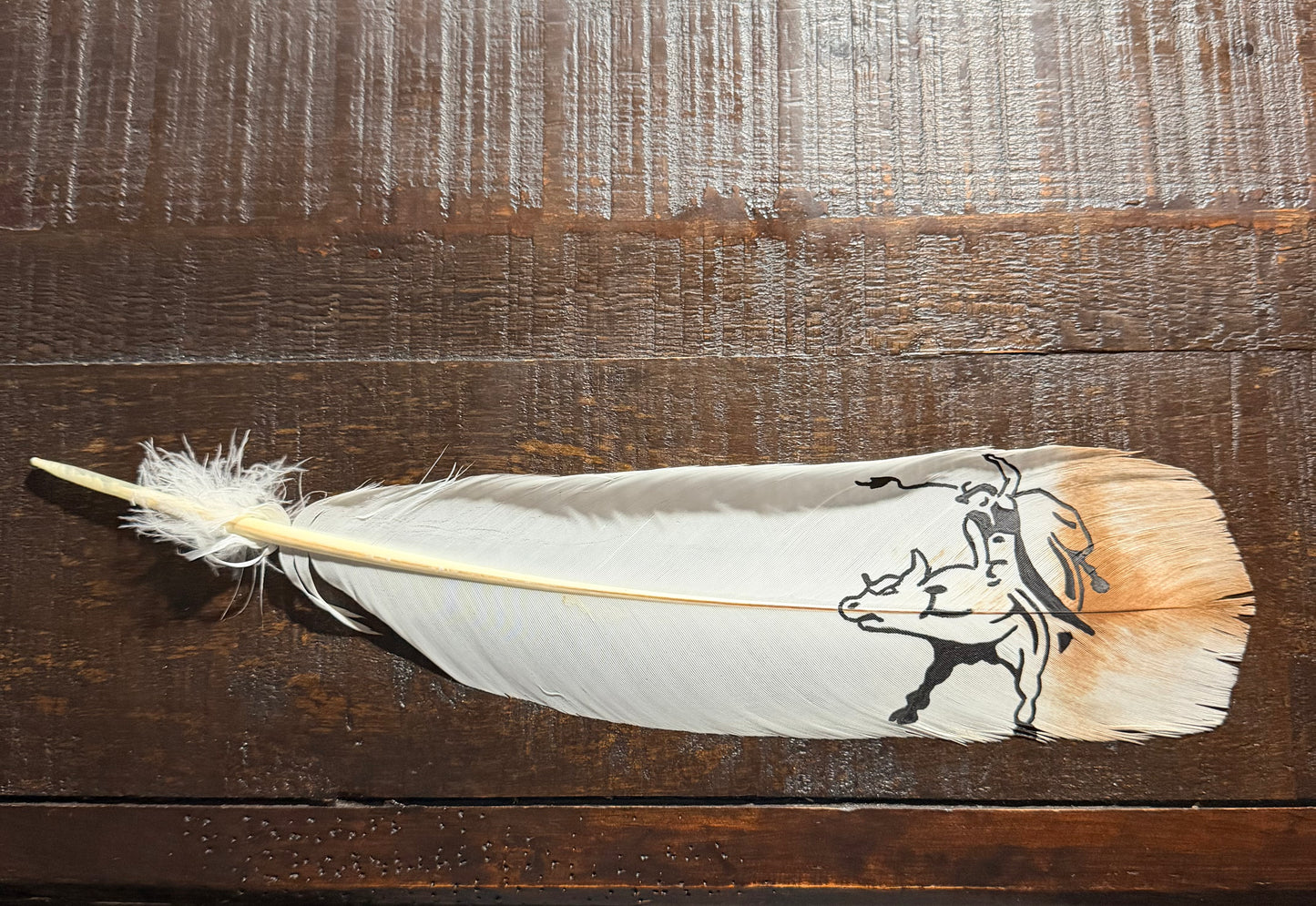 Bullrider Custom Feather (14x3.5)