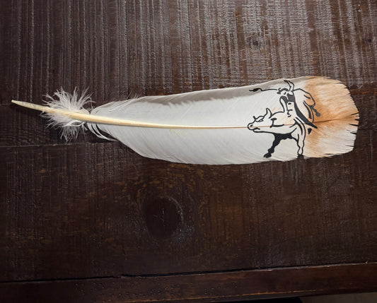 Bullrider  Custom Feather (14x3.5)