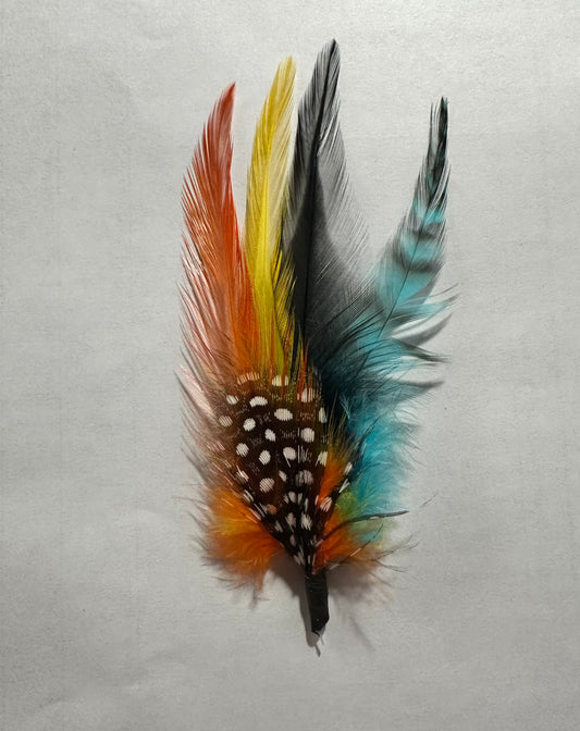 Colorful Feather
