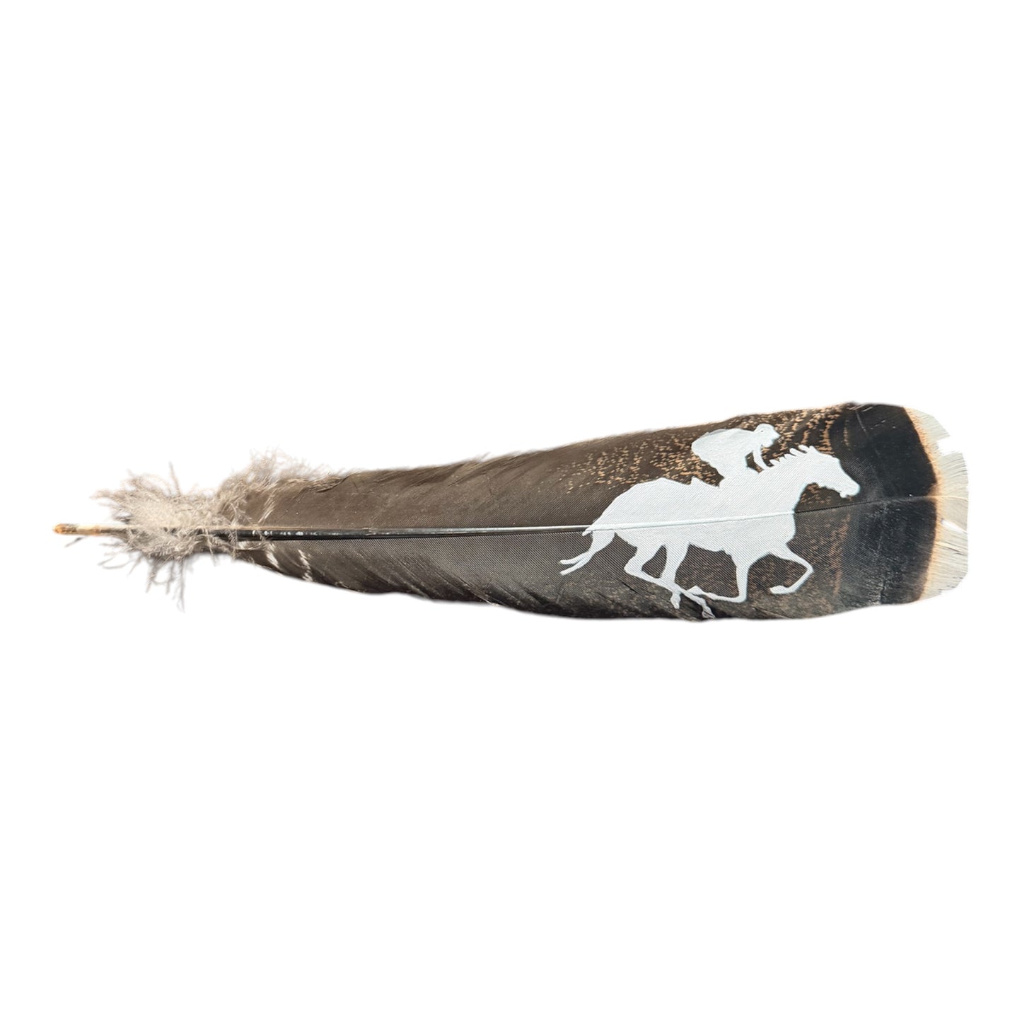 Horse Racing Feather